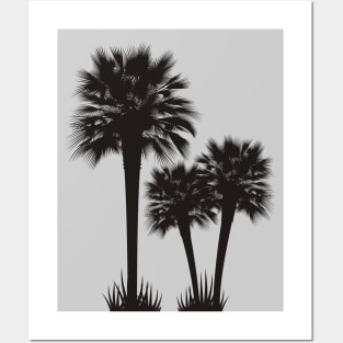 Palm Trees Posters and Art